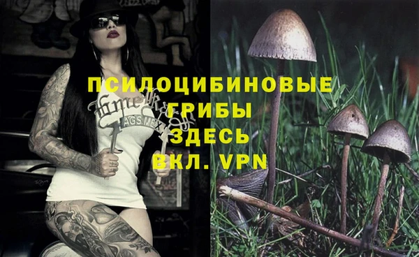 твердый Алексеевка