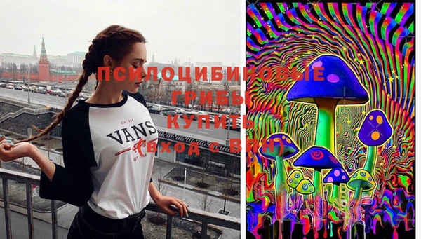 трава Алексин