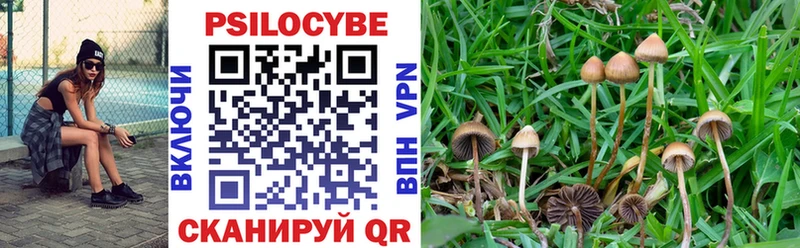 blacksprut tor  Апатиты  Псилоцибиновые грибы мухоморы 